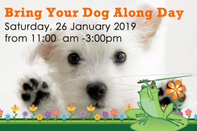 Bring your dog along day - the green frog moffat