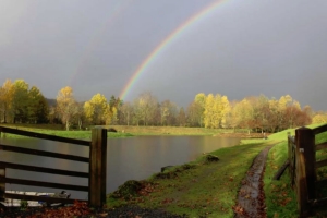 Moffat Fishery - Your pot of gold at the end of a rainbow