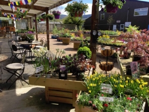 The Garden Centre is stocked throughout the Summer months