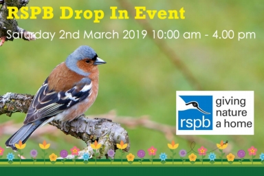 RSPB drop in at the Green Frog Moffat