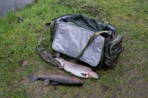 A couple of nice trout caught at Moffat Fishery